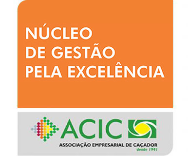 nucleo-de-gestão pela excelência