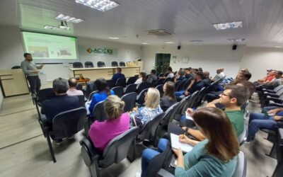 Núcleo de Comércio Exterior da Acic estuda o comércio internacional da madeira