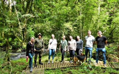 Integrantes do Núcleo do Meio Ambiente conhecem a trilha ecológica do Horto