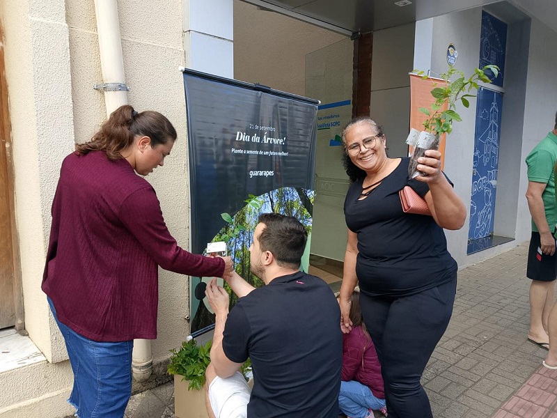 Núcleo de Meio Ambiente entrega mil mudas de árvores à população